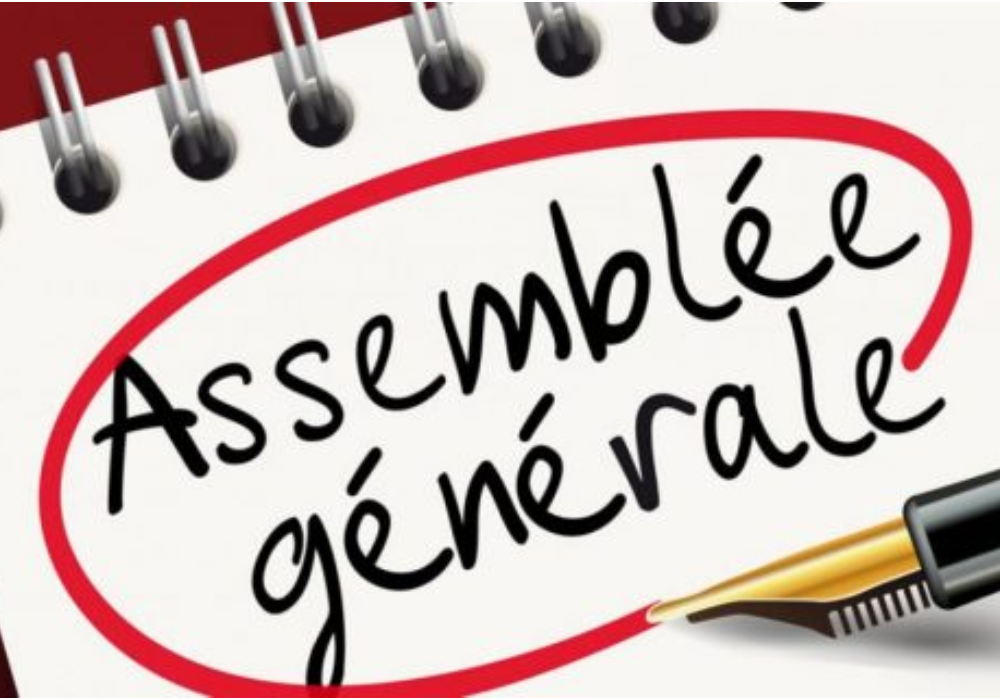 Assemblée générale annuelle